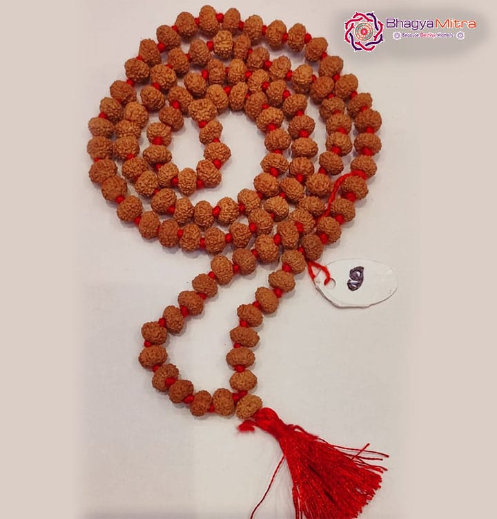 9 Face Rudrakash Mala 108 Beads
